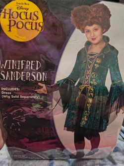 Girls costume medium wig included