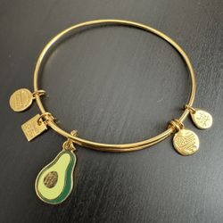 Alex And Ani Charm Bracelet