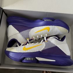 New Nike LeBron Witness iV