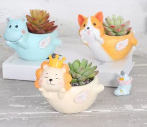 Flower pot, Resin Succulent Pot