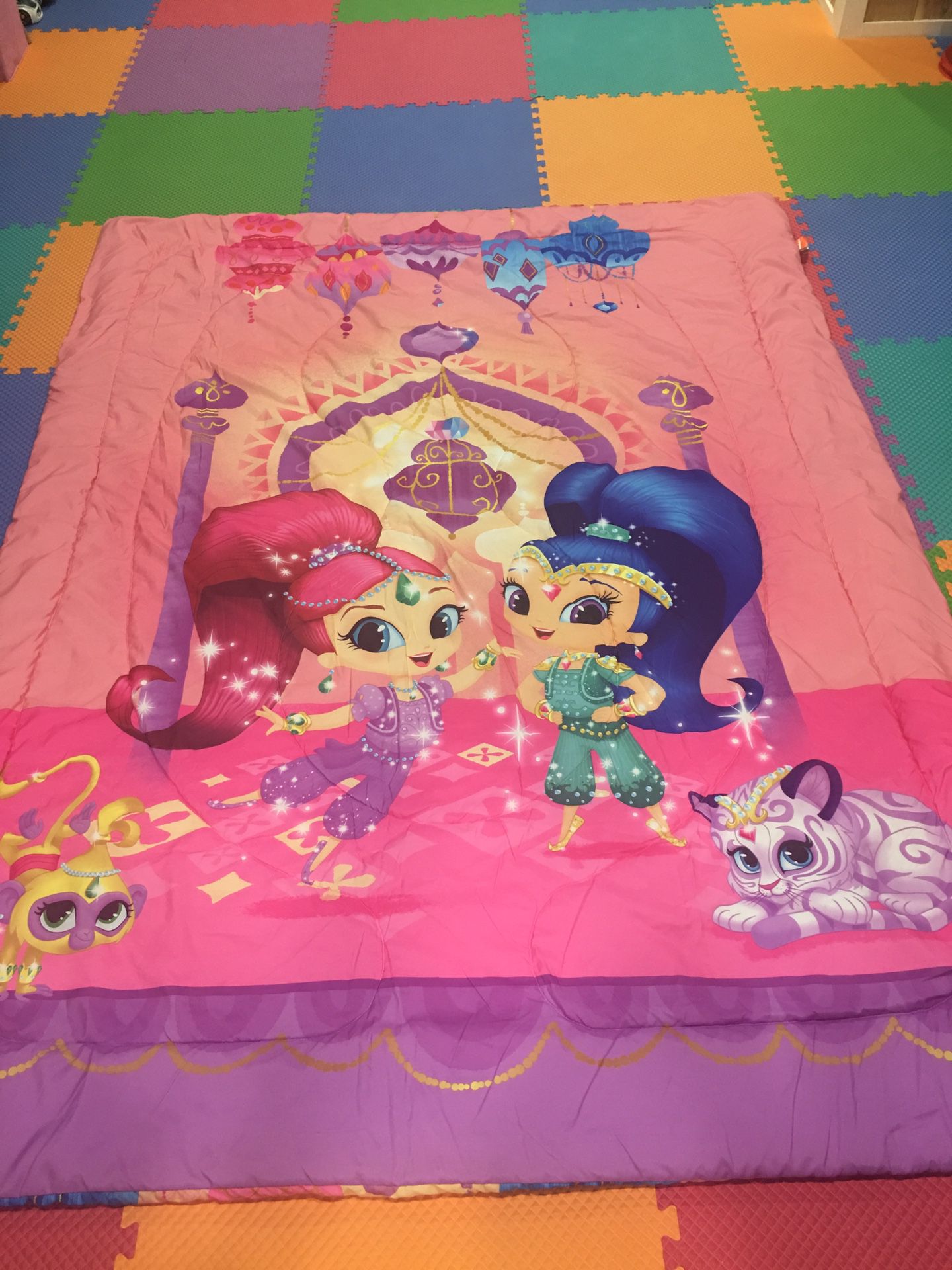 Shimmer and Shine 2 sided Twin comforter