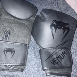 12oz Venum Gloves 