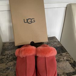 Uggs House Slippers 