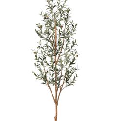 6FT Artificial Olive Tree – Faux Silk Plant with Wood Branches and Fruits