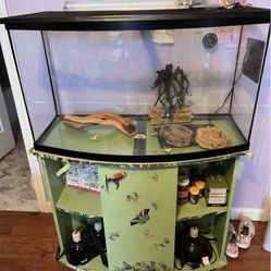 20 Gallon Reptile Tank With Lights And Accessories