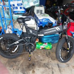 Mens Wooden 20inch Wheel Electric Bike