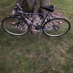 28” Hybrid Bike (xl Frame)