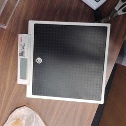 Weight Scale