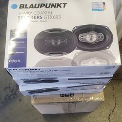 Blaupunkt 6x9 Door Speakers