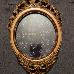 Taylor Swift speak now era Long live all the magic we made picture frame in hand