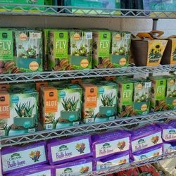 CLOSING DEC 7 - TINY TEMPE PLANT STAND - EVERYTHING ON SALE