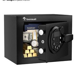 Money /Goods Safe brand new