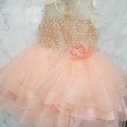 Baby Girl Designer Dress 