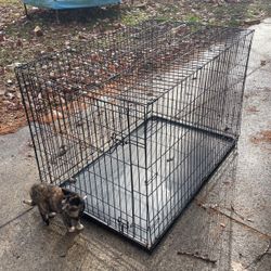 Cage 30”Wx48”Lx32”T 