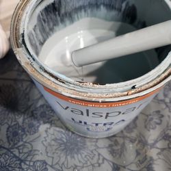 FREE PAINT