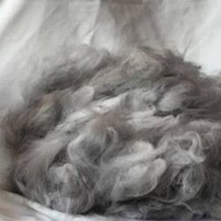 Angora Wool Fiber