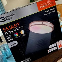 NEW Smart Flush Mount Light.  Make An Offer. MPU