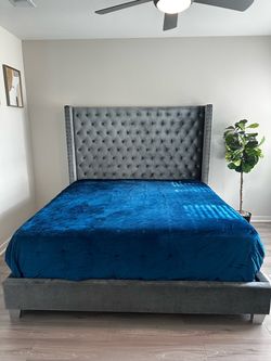 Gray velvet Couch