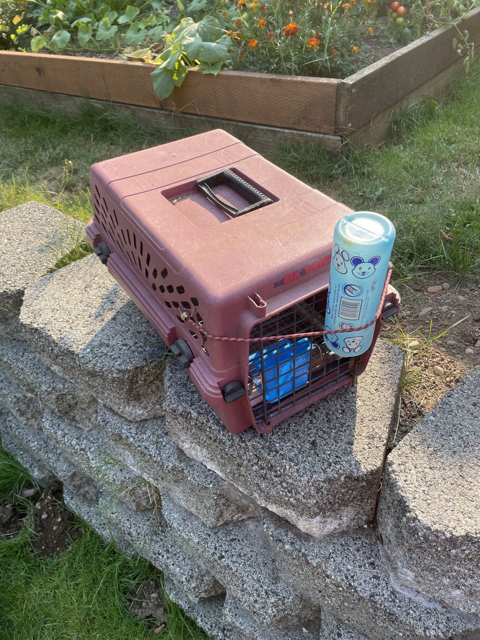 Pet Carrier.