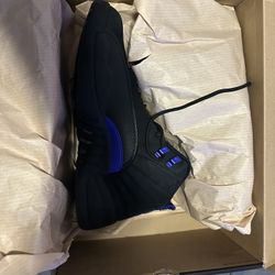 Jordan 12 Dark Concord 