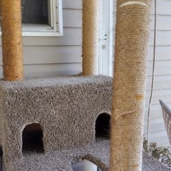 Cat Climber And Play Gym