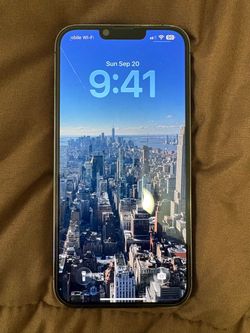 iPhone 13 Pro Max
