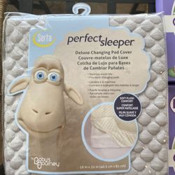Baby Slipcovers & Deluxe Changing Pad cover 