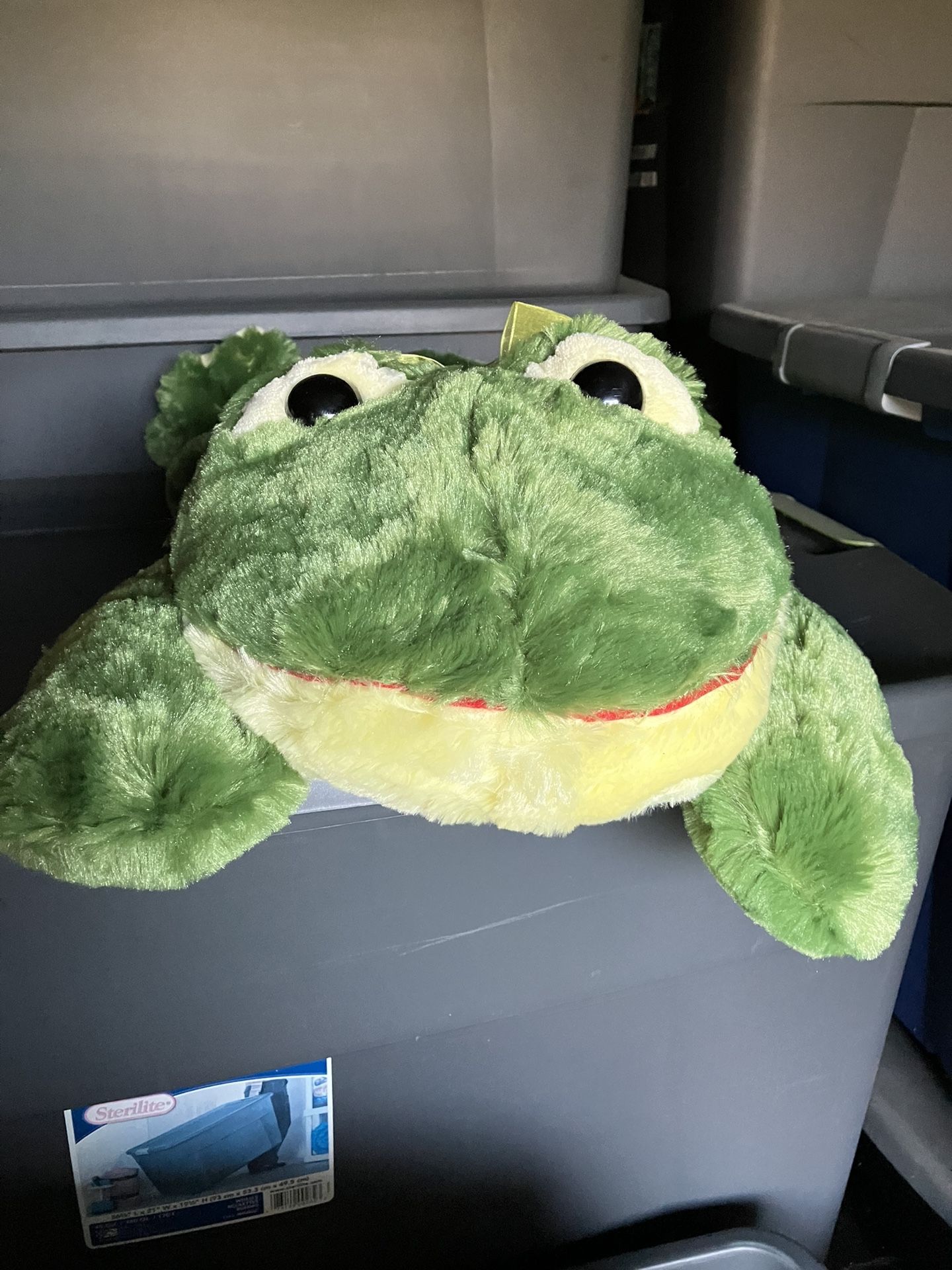GIANT FROG 26 Inches (NEW)