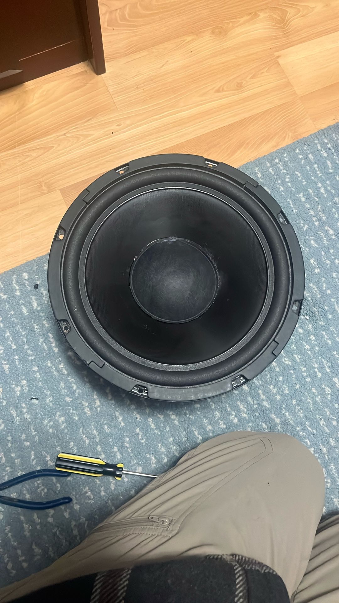 Radio Shack 12 Subwoofer