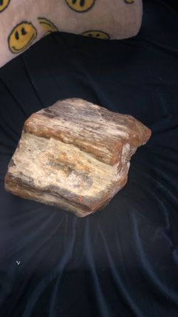 Petrified wood