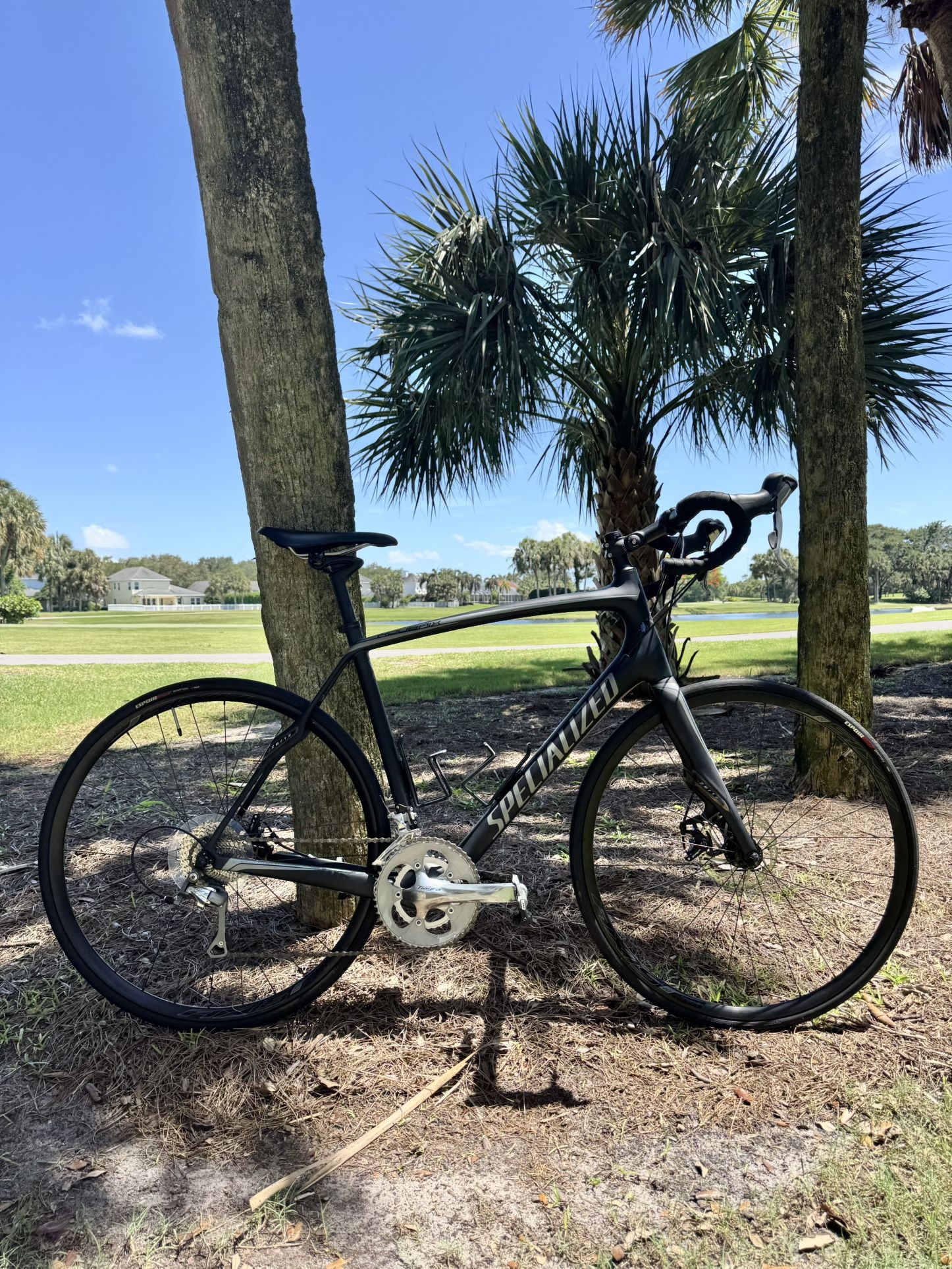 Full Carbon Specialized Roubaix