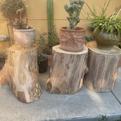 DIY Stumps For Project 