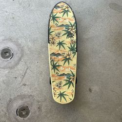 Globe Skateboard Cruiser