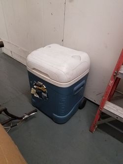 Igloo cooler
