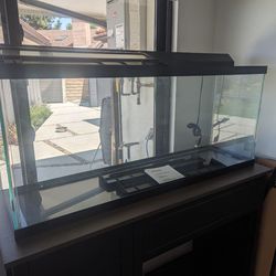 55 Gallon Tank With Accessories 