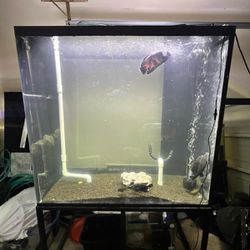 280G Fish Tank And Steel Stand