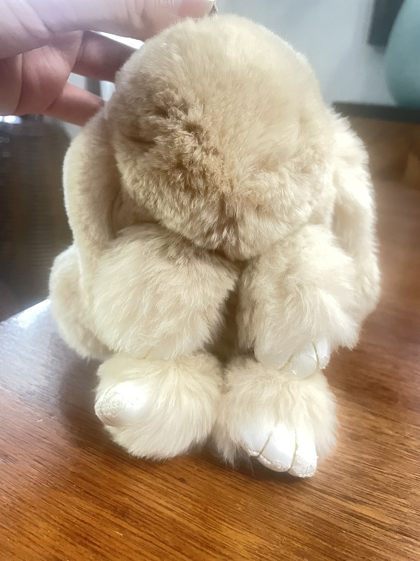 Light Brown Bunny