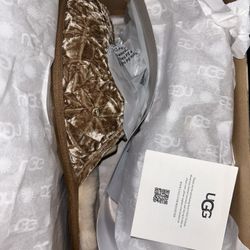UGG Slippers 