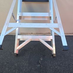 Werner Step Ladder