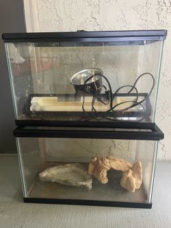 Reptile tank