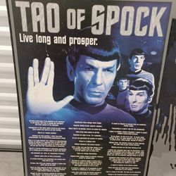 Tao of Spock Poster Picture Frame 24" × 36"