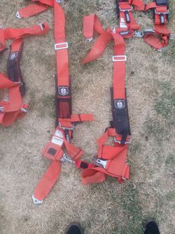 Pro Armor 4-point Harnesses