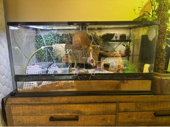 Hermit crab terrarium