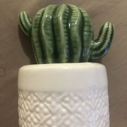 Small Glossy Cactus Decor