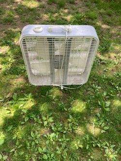 Electric Fan