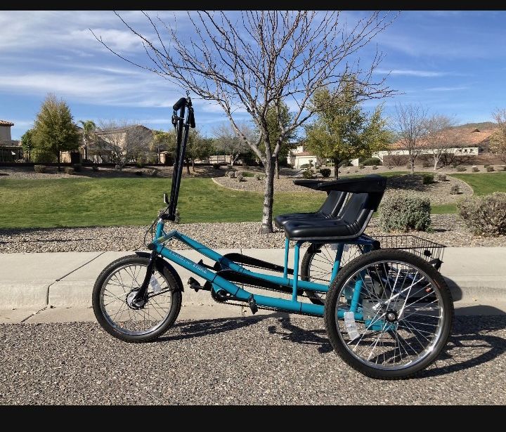 Side By Side Team Dual Tricycle