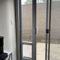 Dog Glass Door