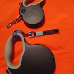 Vibrant Life 2 Retractable Tape Leash