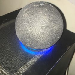 Offers- Amazon Alexa