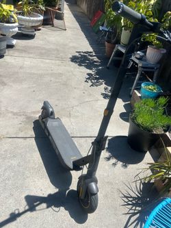 Ninebot Max Scooter